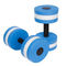Sistemas secos rápidos del Barbell de la pesa de gimnasia de EVA Foam Home Gym Exercise